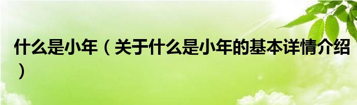 什么是小年（关于什么是小年的基本详情介绍）