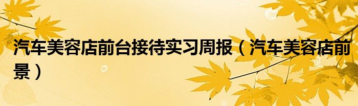 汽车美容店前台接待实习周报（汽车美容店前景）