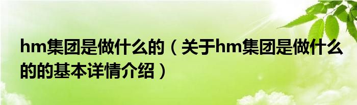 hm集团是做什么的（关于hm集团是做什么的的基本详情介绍）