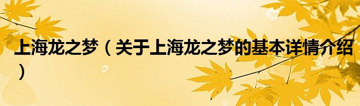 上海龙之梦（关于上海龙之梦的基本详情介绍）