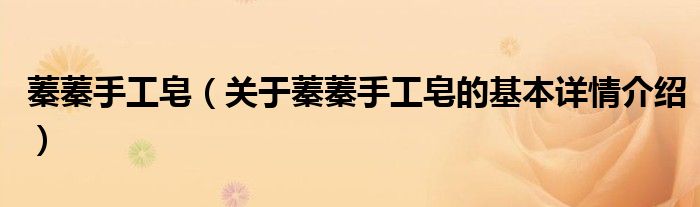 蓁蓁手工皂（关于蓁蓁手工皂的基本详情介绍）