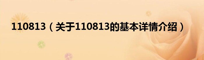 110813（关于110813的基本详情介绍）
