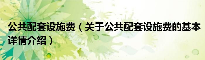 公共配套设施费（关于公共配套设施费的基本详情介绍）