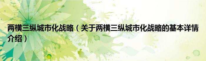 两横三纵城市化战略（关于两横三纵城市化战略的基本详情介绍）