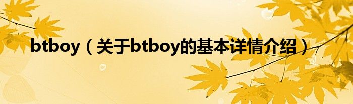 btboy（关于btboy的基本详情介绍）