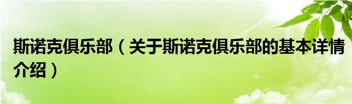 斯诺克俱乐部（关于斯诺克俱乐部的基本详情介绍）