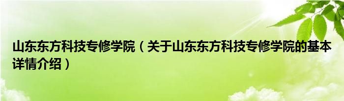山东东方科技专修学院（关于山东东方科技专修学院的基本详情介绍）