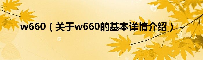 w660（关于w660的基本详情介绍）