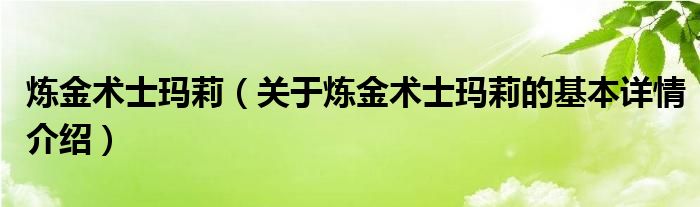 炼金术士玛莉（关于炼金术士玛莉的基本详情介绍）