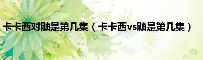 卡卡西对鼬是第几集（卡卡西vs鼬是第几集）