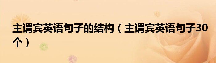 主谓宾英语句子的结构（主谓宾英语句子30个）