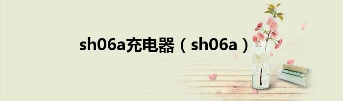 sh06a充电器（sh06a）