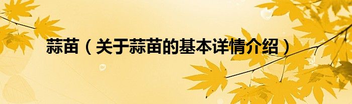 蒜苗（关于蒜苗的基本详情介绍）