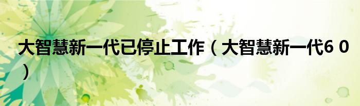 大智慧新一代已停止工作（大智慧新一代6 0）