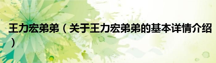 王力宏弟弟（关于王力宏弟弟的基本详情介绍）