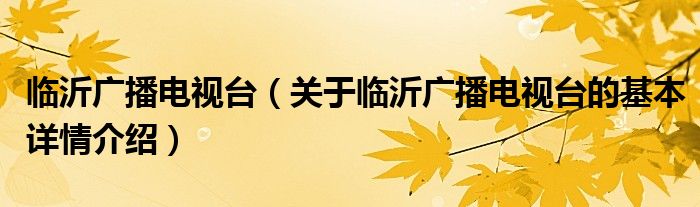 临沂广播电视台（关于临沂广播电视台的基本详情介绍）