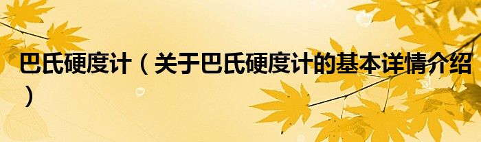 巴氏硬度计（关于巴氏硬度计的基本详情介绍）
