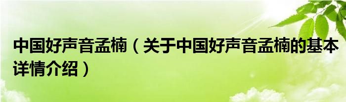 中国好声音孟楠（关于中国好声音孟楠的基本详情介绍）