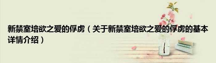 新禁室培欲之爱的俘虏（关于新禁室培欲之爱的俘虏的基本详情介绍）