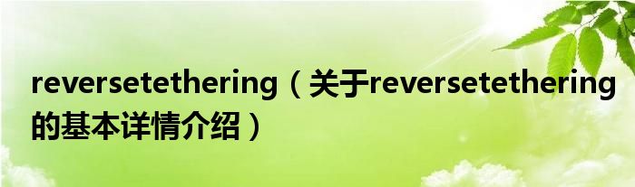 reversetethering（关于reversetethering的基本详情介绍）