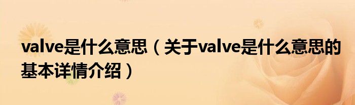 valve是什么意思（关于valve是什么意思的基本详情介绍）
