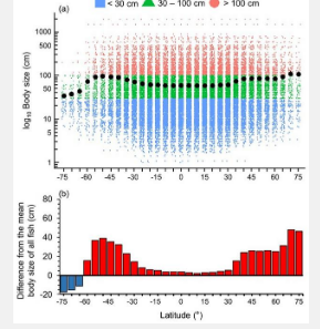 新研究揭示了海洋鱼类体型和营养特征随纬度和深度的全球模式