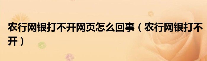 农行网银打不开网页怎么回事（农行网银打不开）