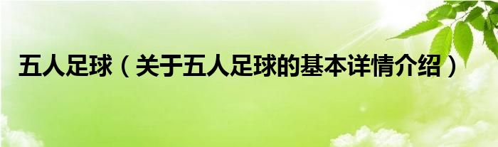 五人足球（关于五人足球的基本详情介绍）