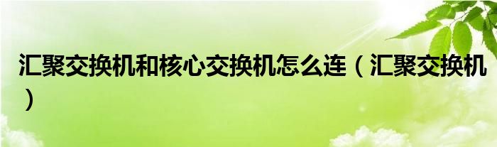 汇聚交换机和核心交换机怎么连（汇聚交换机）