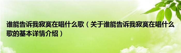 谁能告诉我寂寞在唱什么歌（关于谁能告诉我寂寞在唱什么歌的基本详情介绍）
