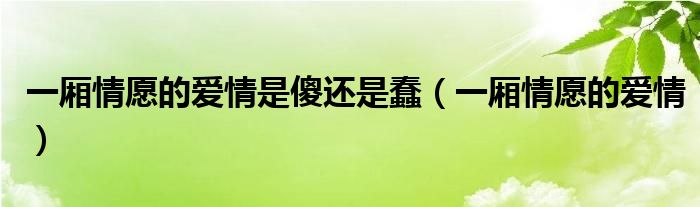 一厢情愿的爱情是傻还是蠢（一厢情愿的爱情）