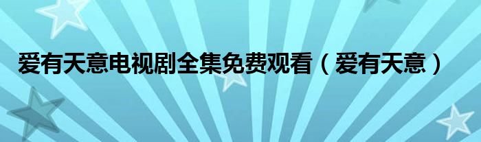 爱有天意电视剧全集免费观看（爱有天意）
