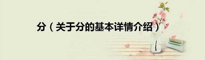 分（关于分的基本详情介绍）