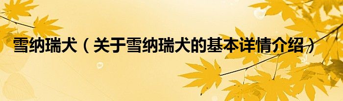 雪纳瑞犬（关于雪纳瑞犬的基本详情介绍）