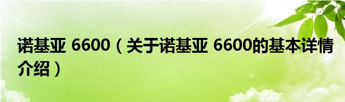 诺基亚 6600（关于诺基亚 6600的基本详情介绍）