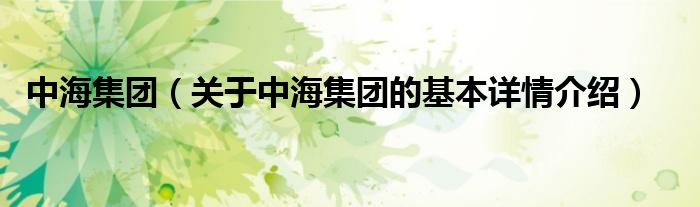 中海集团（关于中海集团的基本详情介绍）