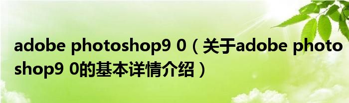 adobe photoshop9 0（关于adobe photoshop9 0的基本详情介绍）