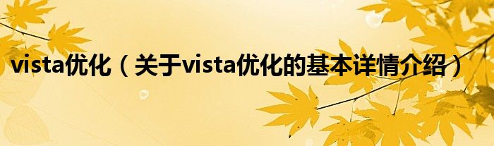 vista优化（关于vista优化的基本详情介绍）