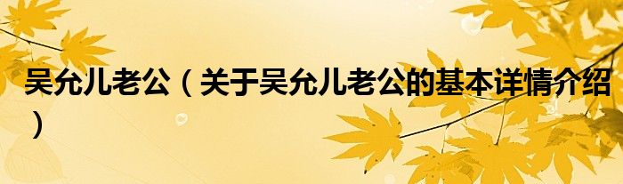 吴允儿老公（关于吴允儿老公的基本详情介绍）