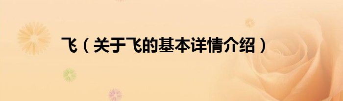 飞（关于飞的基本详情介绍）