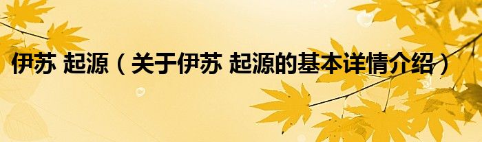 伊苏 起源（关于伊苏 起源的基本详情介绍）