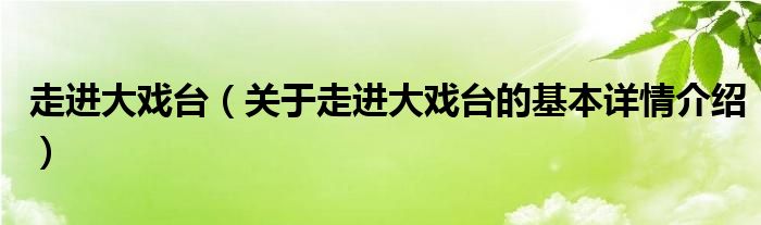 走进大戏台（关于走进大戏台的基本详情介绍）