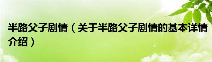 半路父子剧情（关于半路父子剧情的基本详情介绍）