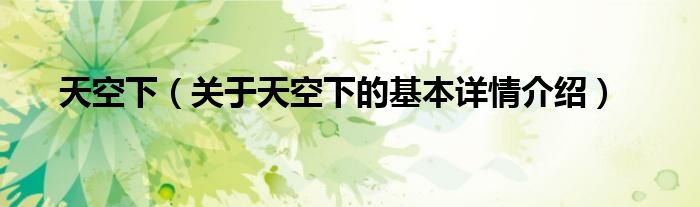 天空下（关于天空下的基本详情介绍）