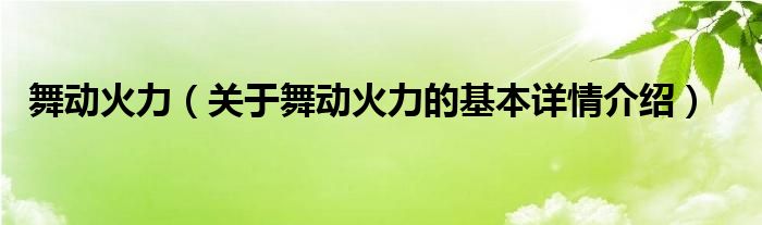 舞动火力（关于舞动火力的基本详情介绍）