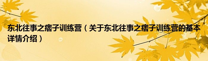 东北往事之痞子训练营（关于东北往事之痞子训练营的基本详情介绍）