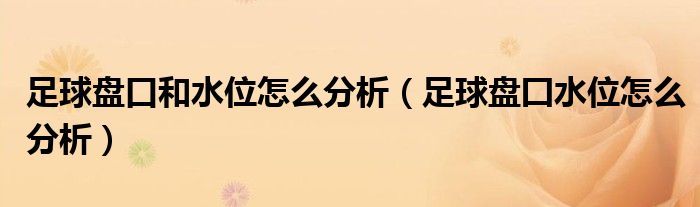 足球盘口和水位怎么分析（足球盘囗水位怎么分析）