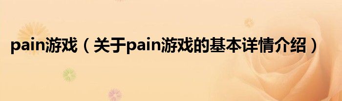 pain游戏（关于pain游戏的基本详情介绍）