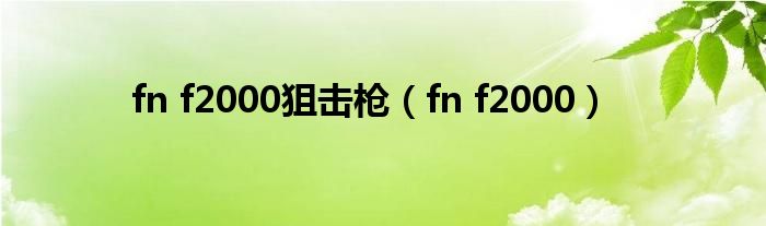fn f2000狙击枪（fn f2000）