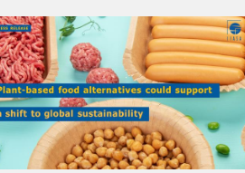 为了减少全球排放用植物性替代品代替肉类和牛奶
